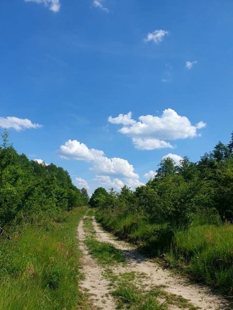 Zdjęcie 3