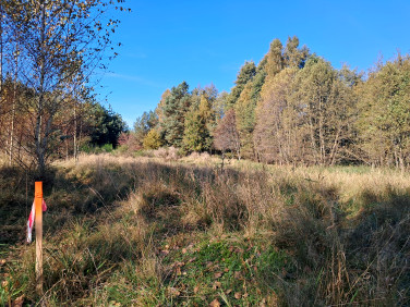 Działka budowlana Machowinko