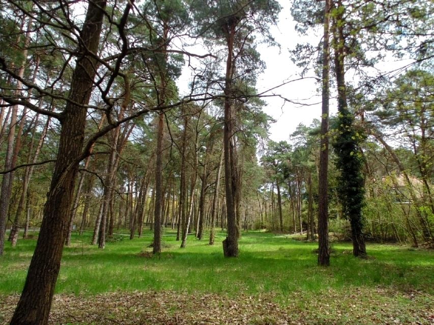 Działka inwestycyjna Konstancin-Jeziorna