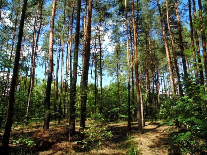 Działka budowlana Konstancin-Jeziorna