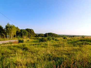 Działka Maks