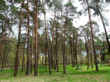 Działka inwestycyjna Konstancin-Jeziorna sprzedam