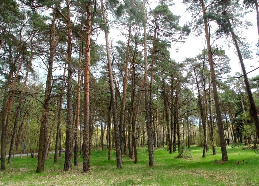 Działka inwestycyjna Konstancin-Jeziorna sprzedam