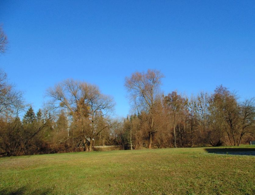 Dom wolnostojący sprzedaż