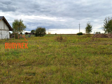 Działka Warszkowo
