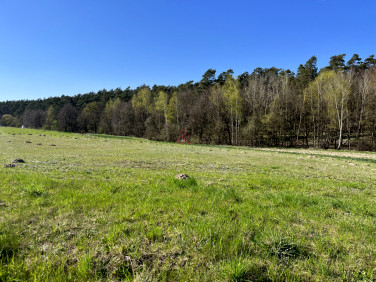 Działka budowlana Laskowice