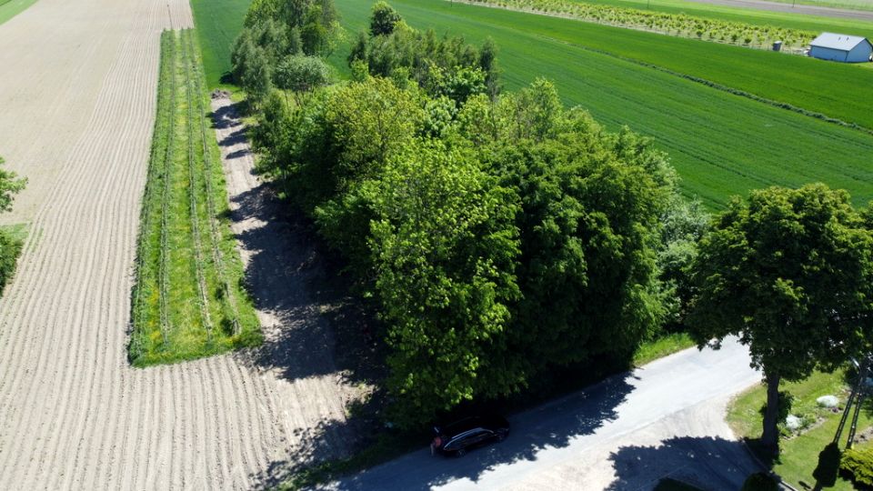 Działka budowlana Wola Duża-Kolonia