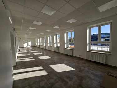 Lokal Ostrowiec Świętokrzyski wynajem