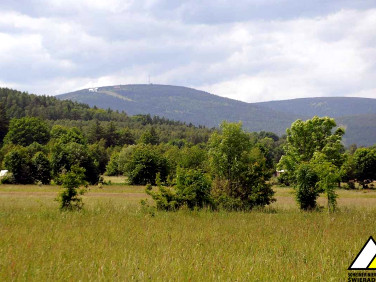 Działka Krobica