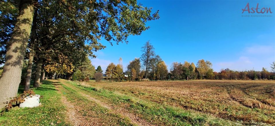 Działka Miedźna