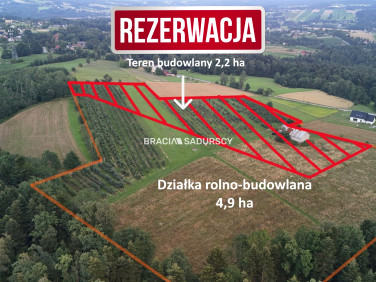 Działka budowlana Wolica