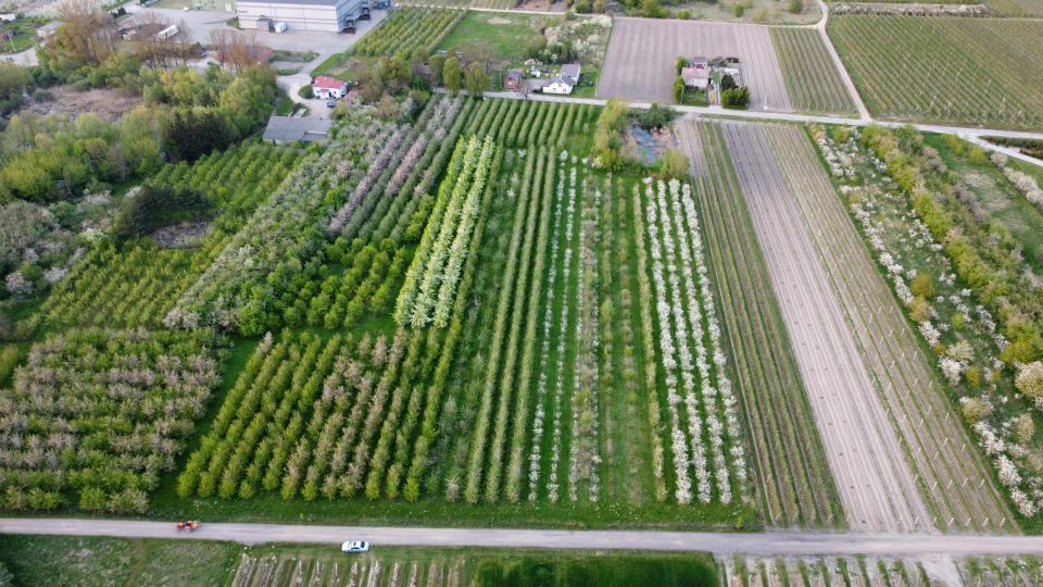 Działka budowlana Zalesie