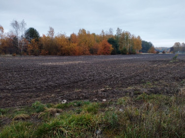 Działka budowlana Żelechów