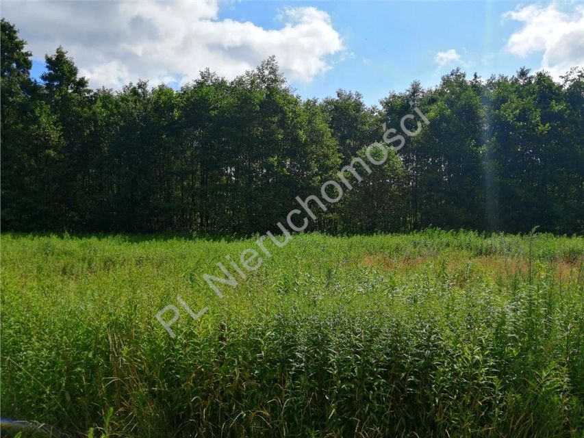 Działka budowlana Karolew