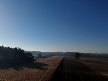 Działka Pośrednik