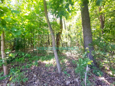 Działka Książenice