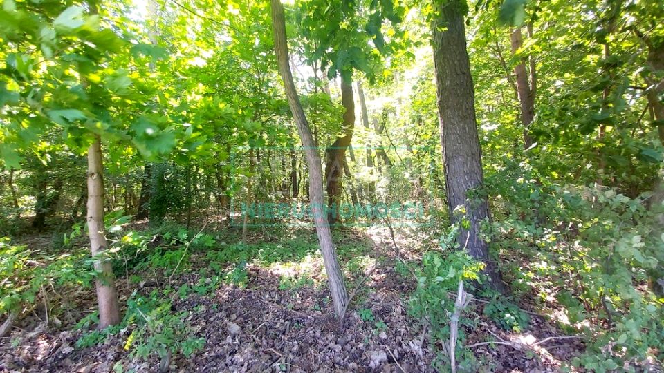 Działka Książenice