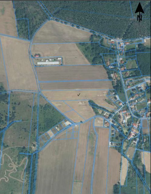 Zdjęcie 3