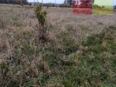 Działka budowlana Żary