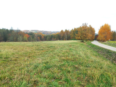 Działka budowlana Chmielnik sprzedam