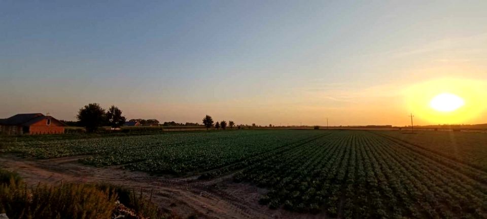 Działka budowlana Stary Dwór