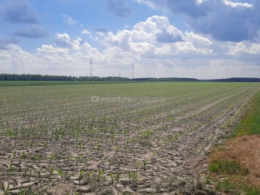 Działka inwestycyjna Sławacinek Stary