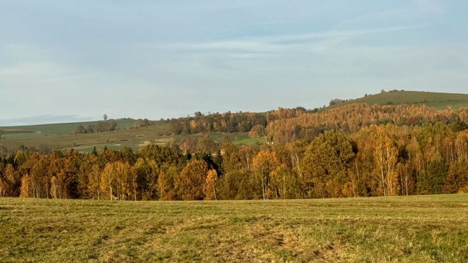 Działka rolna Siedlęcin