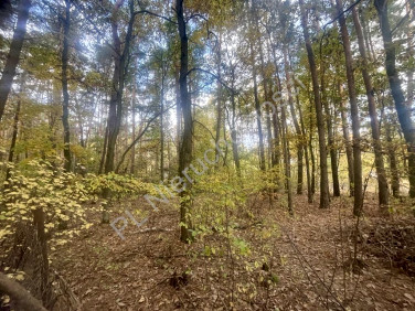 Działka budowlana sprzedam