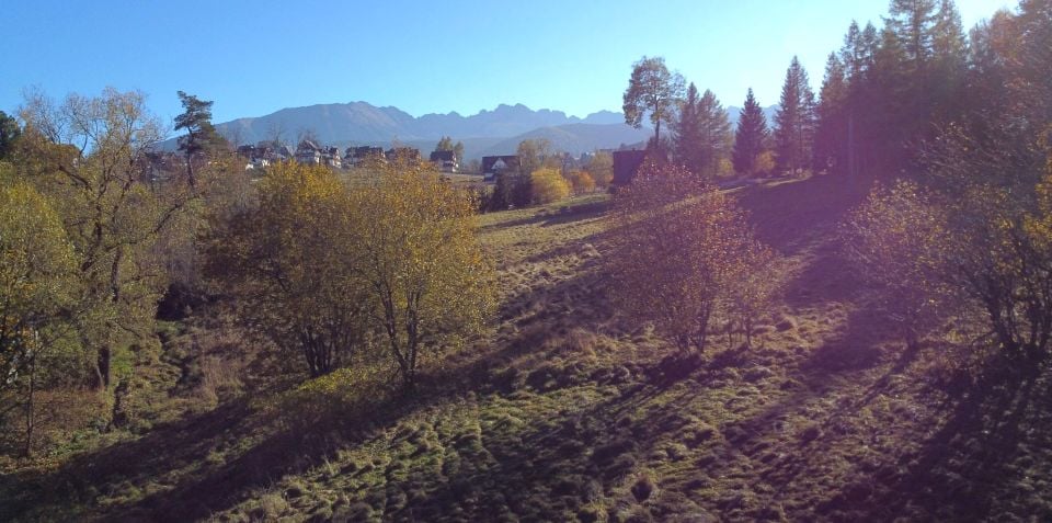 Działka Zakopane