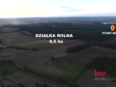 Działka rolna Borzynowo