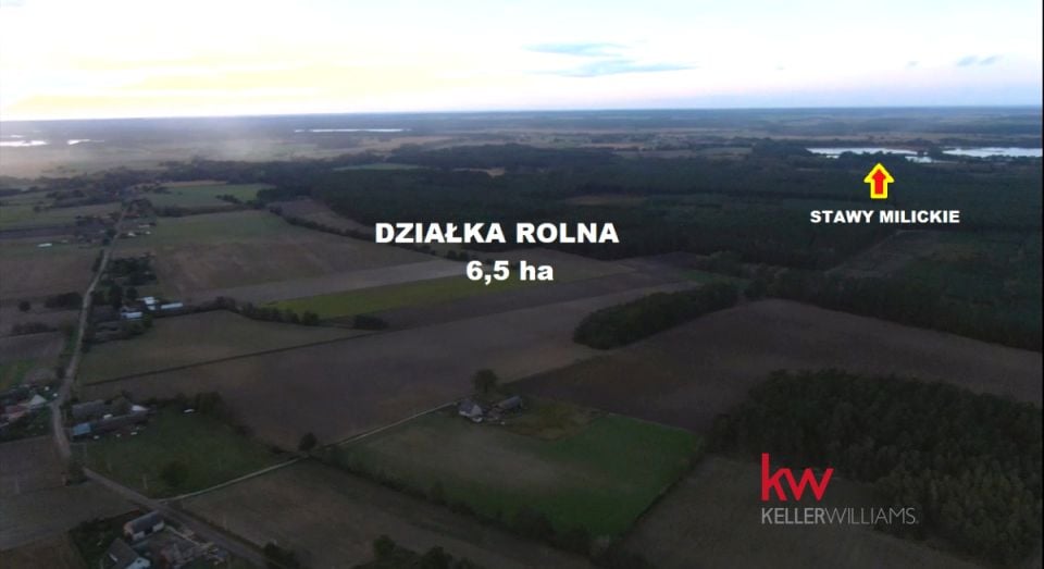 Działka rolna Borzynowo