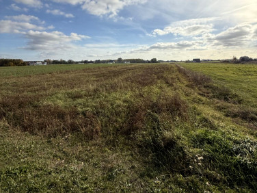 Działka budowlana Brzeziny