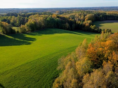 Działka budowlana Pierszczewko