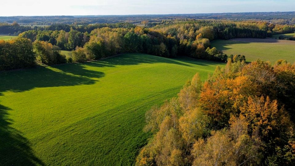 Działka budowlana Pierszczewko