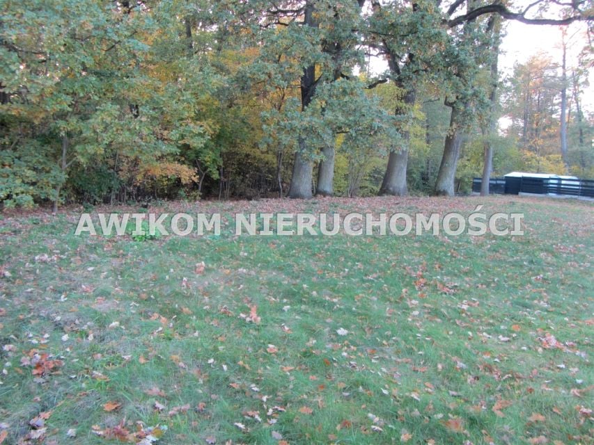 Zdjęcie 2