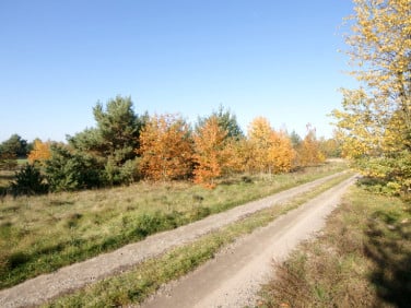 Działka budowlana Nowodwór-Piaski