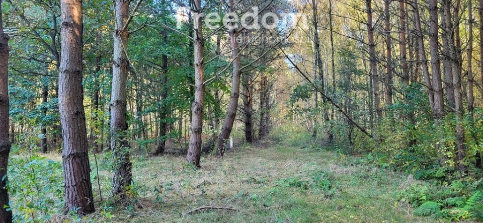 Działka budowlana Smołdziński Las