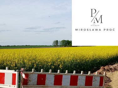 Działka siedliskowa Bogdaszowice