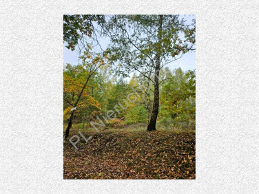 Działka budowlana sprzedam