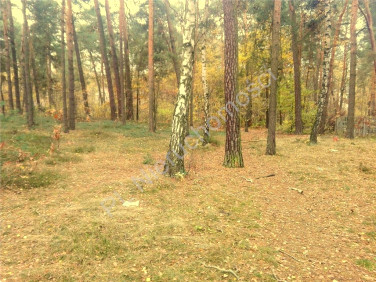 Działka budowlana Międzyborów sprzedam