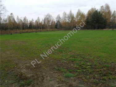 Działka Budy Michałowskie