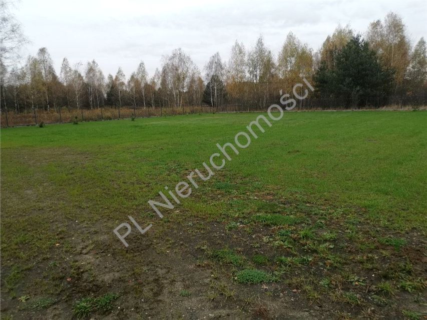 Działka Budy Michałowskie