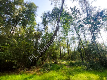 Działka budowlana sprzedam