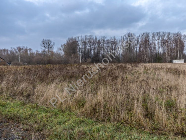 Działka Holendry Baranowskie