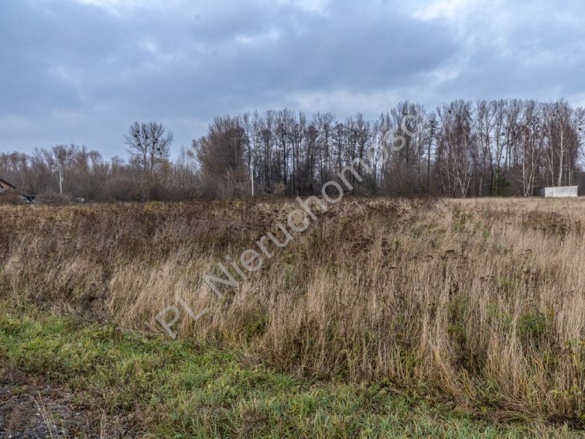 Działka Holendry Baranowskie