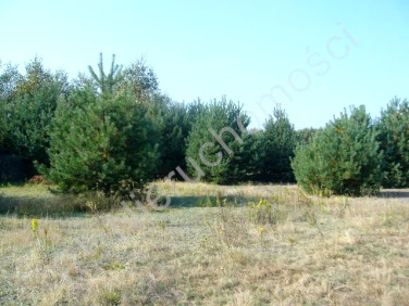 Działka Żelechów