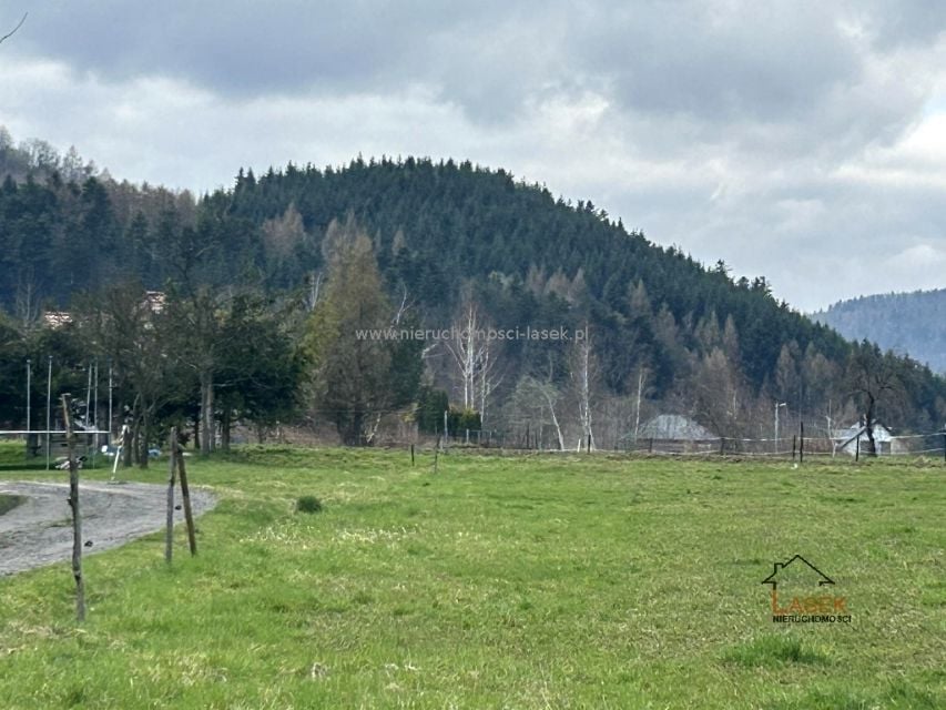 Zdjęcie 2