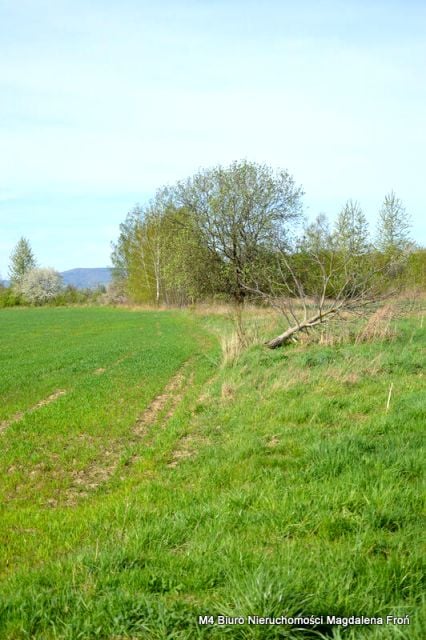 Zdjęcie 2