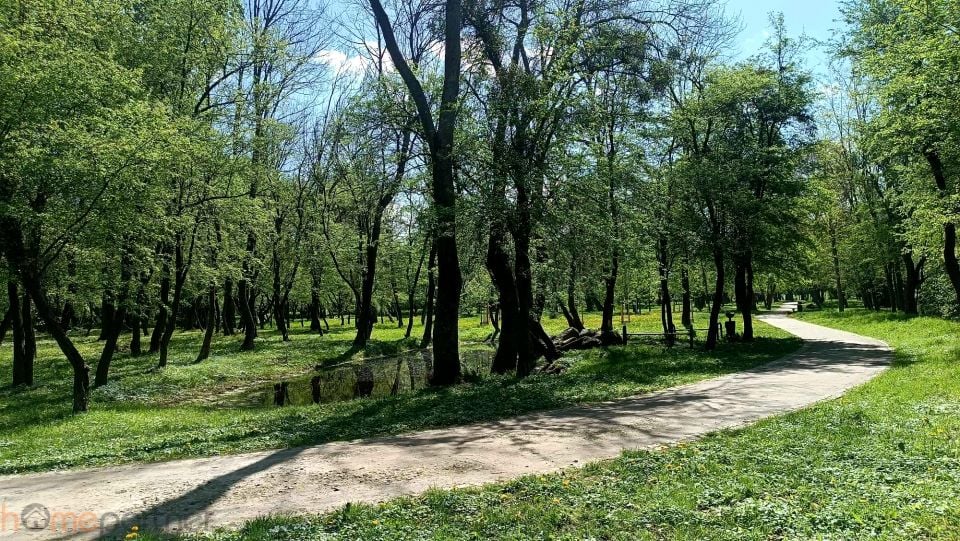 Zdjęcie 3