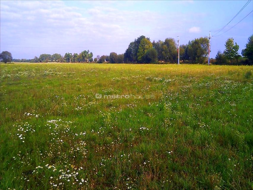 Działka rolna Brodowo